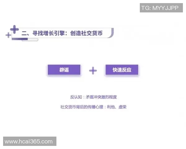 武汉排球队运营分析：成败得失背后的深层原因探讨